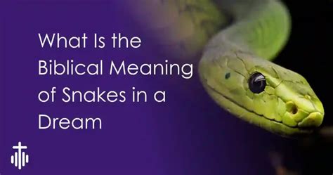 The Spiritual Significance of Being Stung by Snakes in a Dream